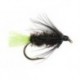 Peacock Spider Green Tag
