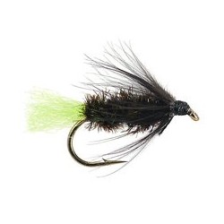 Peacock Spider Green Tag