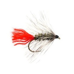 Peacock Wolly Worm