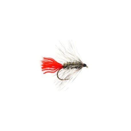 Peacock Wolly Worm