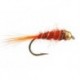 Orange Basic Bh Nmyph