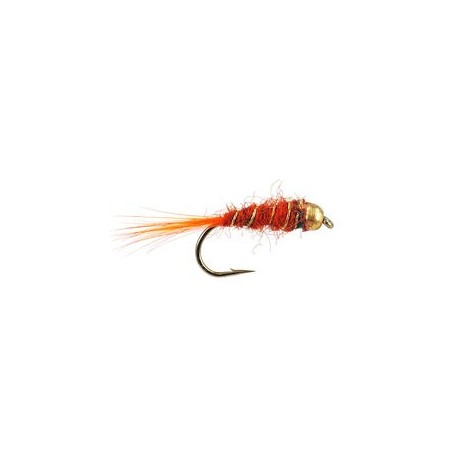Orange Basic Bh Nmyph