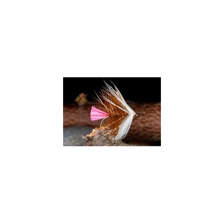 Pink Tail Loch Ordie