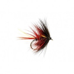 Pretender Red