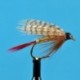 Professor Wet Fly