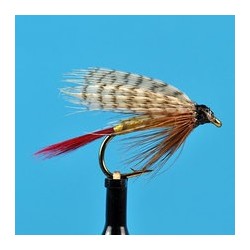 Professor Wet Fly