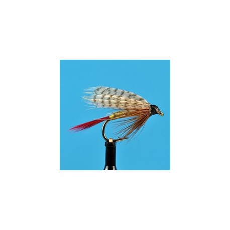 Professor Wet Fly