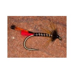 Quill Kehe