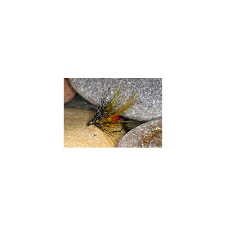 Rago Bumble