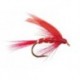 Red Ibis