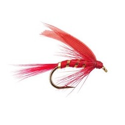 Red Ibis