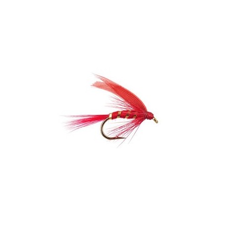 Red Ibis