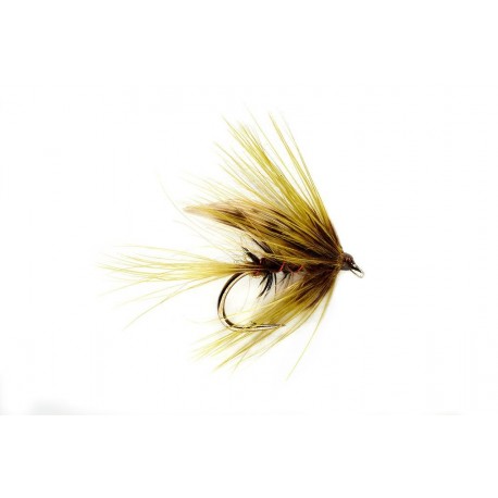 Red Rib Hatching Olive