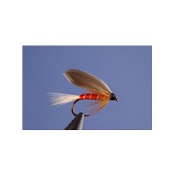 Red Spinner
