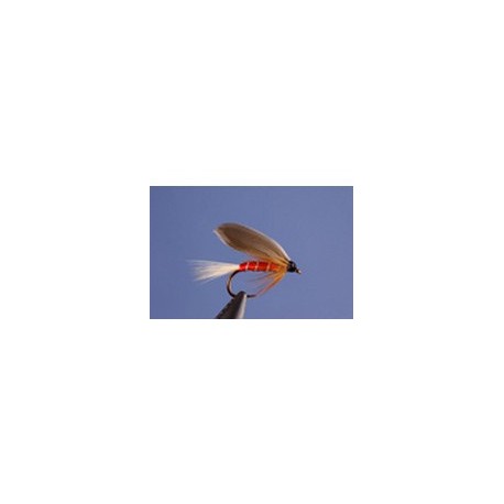 Red Spinner