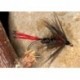 Red tail pennel