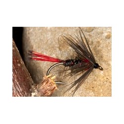 Red tail pennel