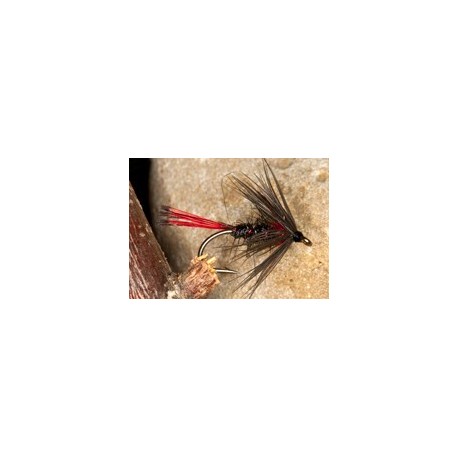 Red tail pennel