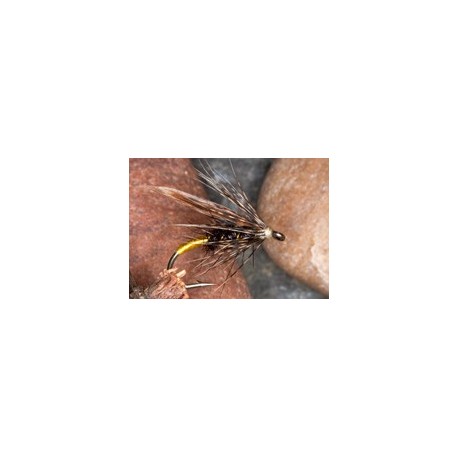 Rhyfwr bachrobat