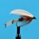 Royal Coachman Wet