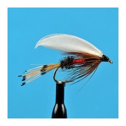 Royal Coachman Wet