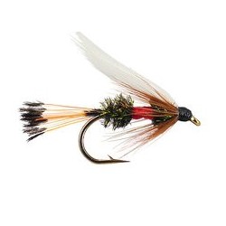 Royal Coachman