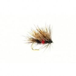 Sedgehog Bibio