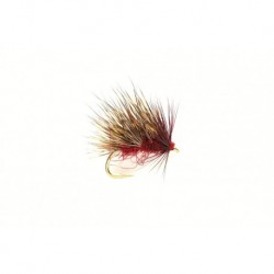 Sedgehog Claret