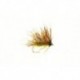 Sedgehog Olive