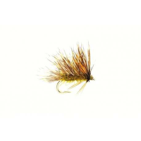 Sedgehog Olive