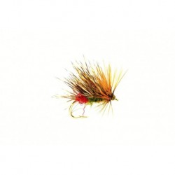 Sedgehog Red Arsed Peter