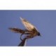 Silver March Brown