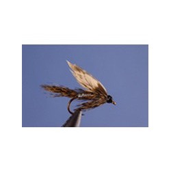 Silver March Brown
