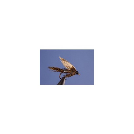 Silver March Brown