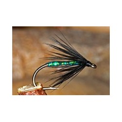 Slimline B&p Spider