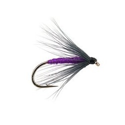 Snipe and Purple