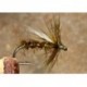 Sooty Emerger
