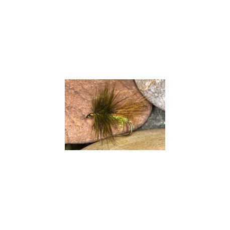 Sparkle Sedge Adult