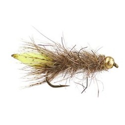 Peeping Caddis Gold
