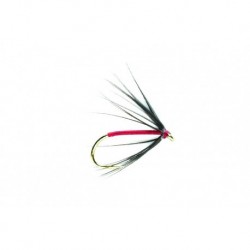 Spider Black