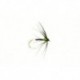 Spider Green Hot Spot