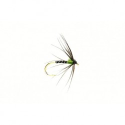 Spider Green Hot Spot