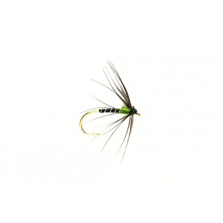 Spider Green Hot Spot
