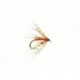 Spider Partridge & Orange
