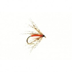 Spider Partridge & Orange