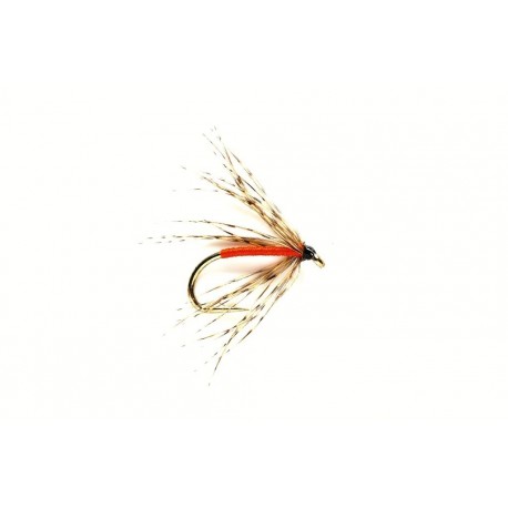 Spider Partridge & Orange