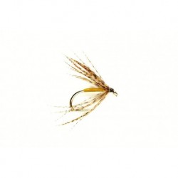 Spider Partridge & Yellow