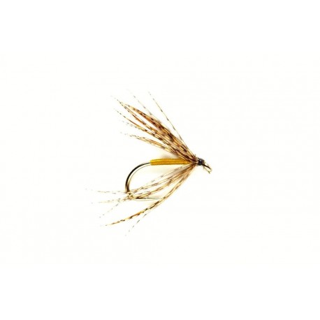 Spider Partridge & Yellow