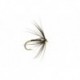 Spider Pearl Hot Spot