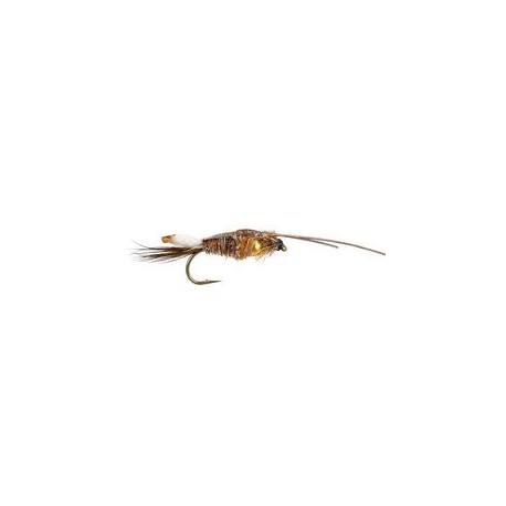 Peeping Caddis Grizzly